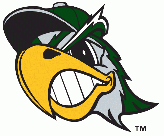 South Bend Silver Hawks 2009-pres alternate logo iron on transfers for clothing